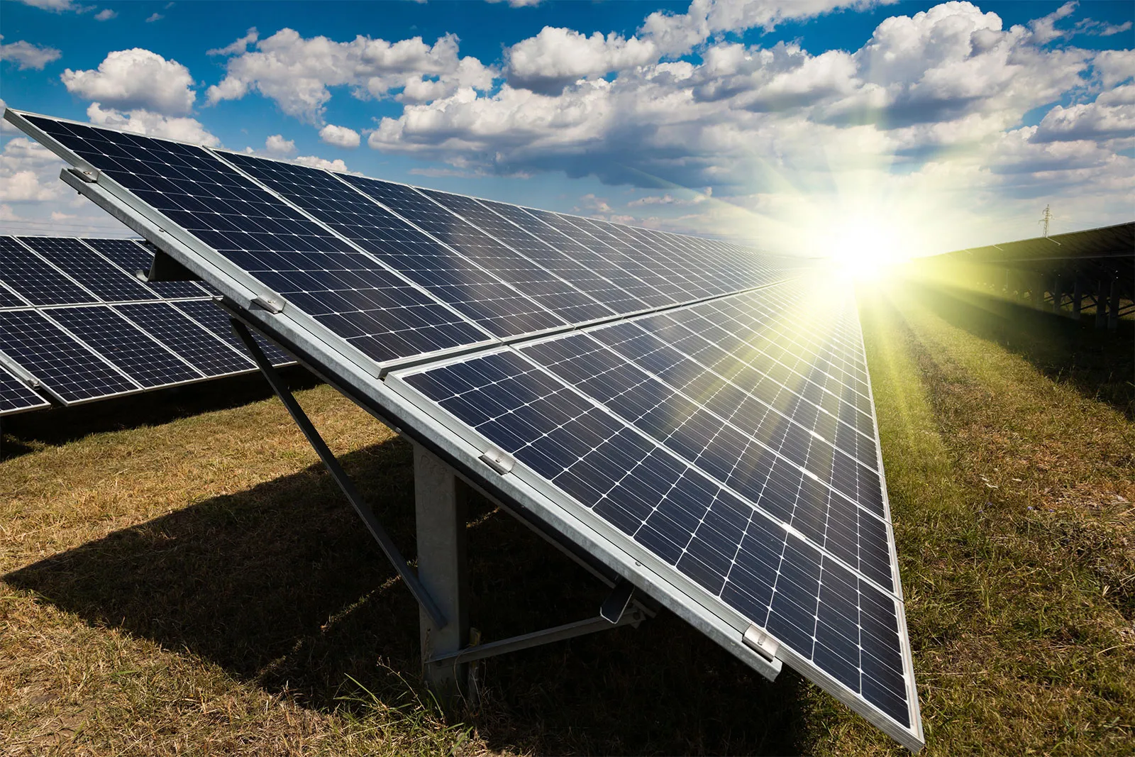 Solar & Renewable Energy