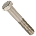 Stainless Steel Bolt